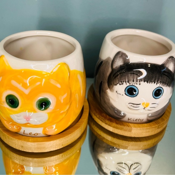 Cute Cat Planter Set - Yellow and Gray - Picture 6 of 6